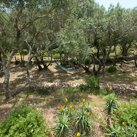 Maison Tavolara Oda ve Kahvaltı