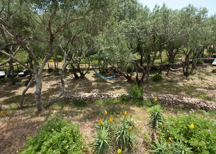 Maison Tavolara Bed & Breakfast